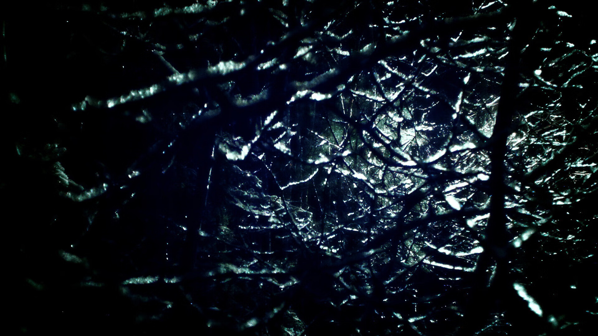 极速与得分双巅峰，昨夜体育世界的时间奇点