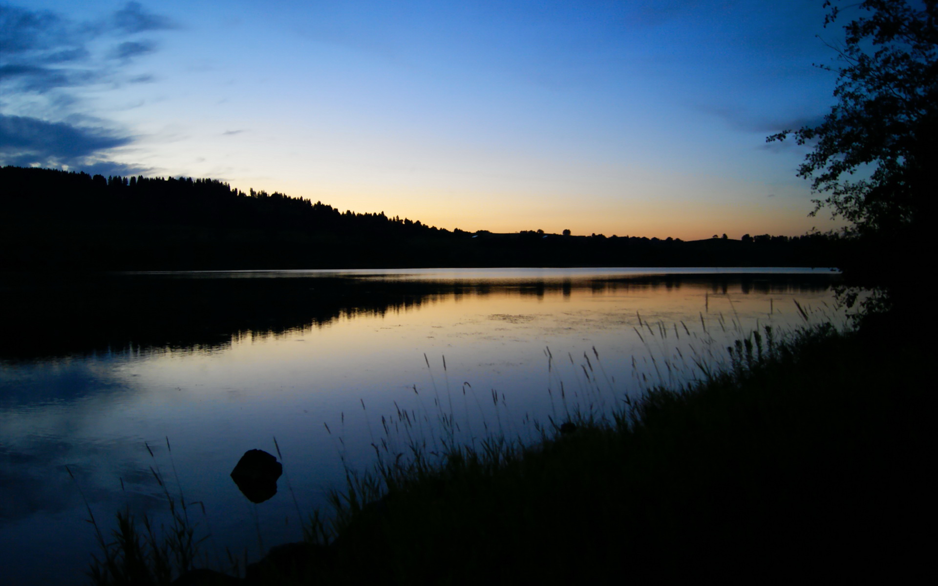 绞肉机与手术刀，坎特持续制造杀伤，哥伦比亚如何用团队切割拜仁巨舰