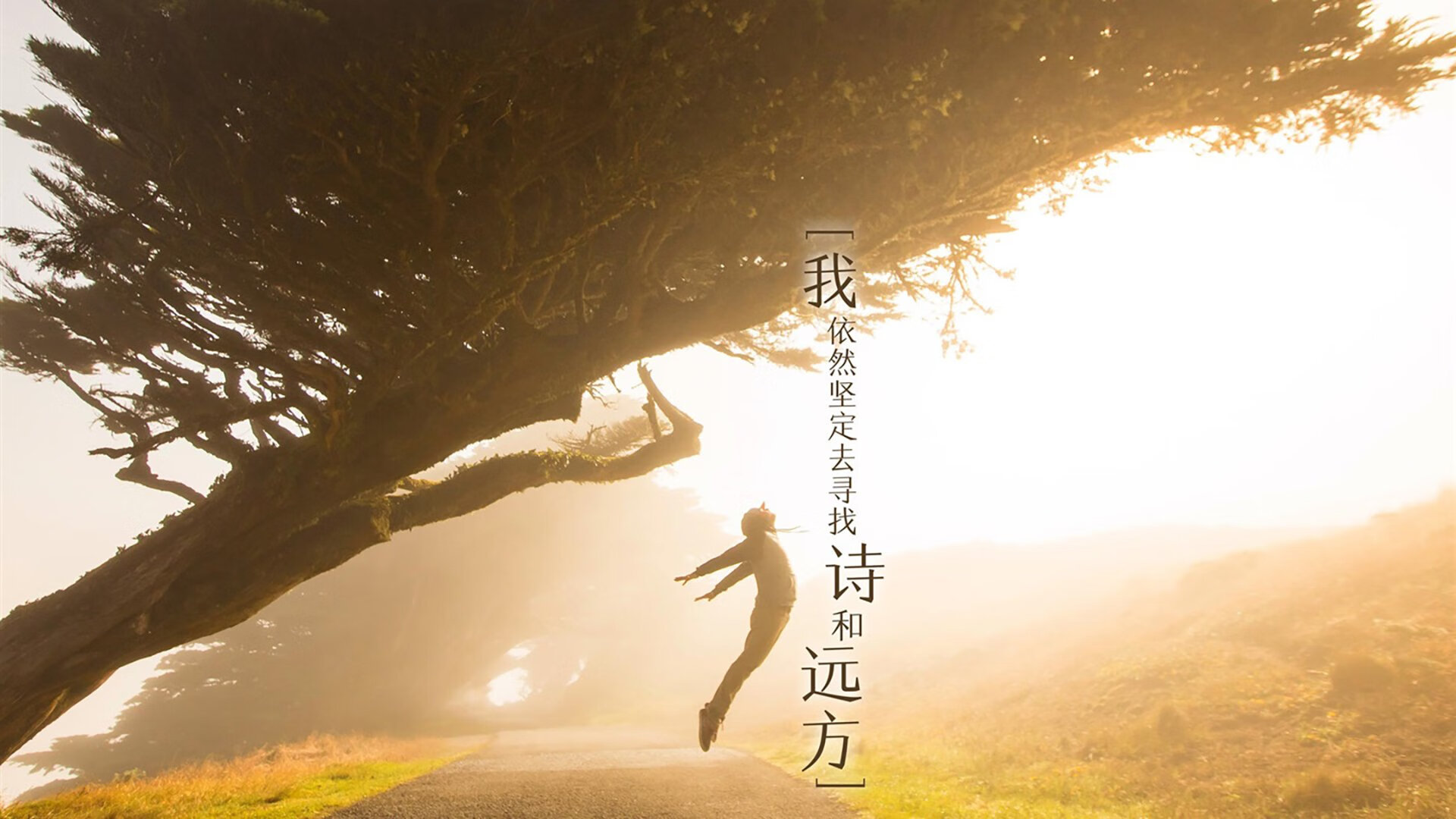 冰与火的对决，芬兰战术完胜哥斯达黎加，贝林厄姆在喧嚣中雕刻王座