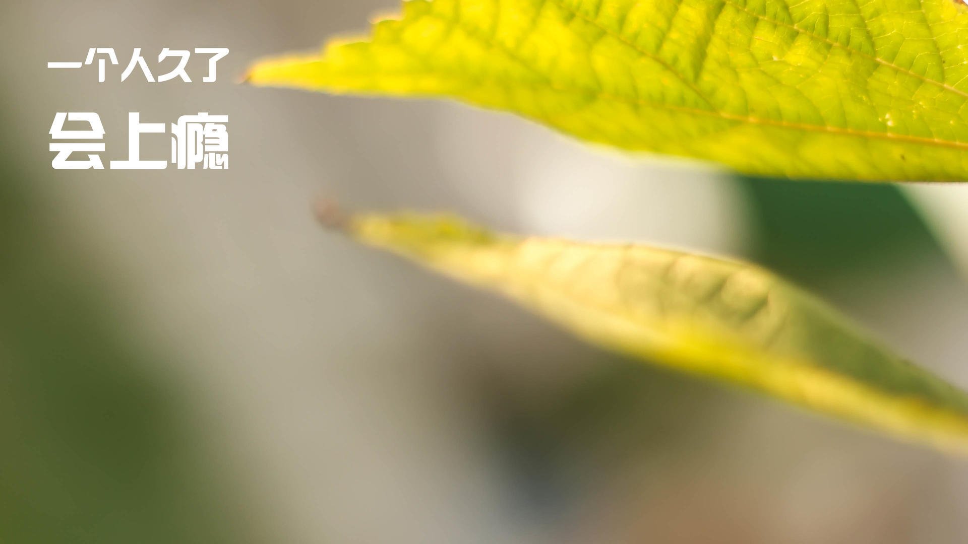 绿茵场与谈判桌，当姆巴佩接管欧冠时，中国拿下了哥伦比亚