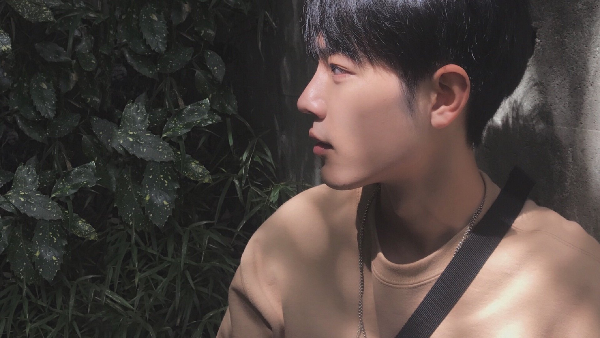 淬火者，当压力成为恩赐—库里的沉默风暴与独行侠的铁血宣言