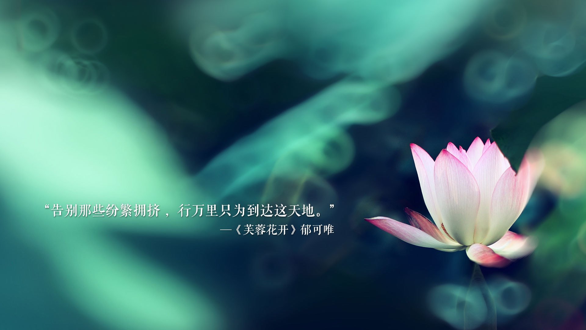 塞尔维亚的铁砧之下，萨卡是丹麦童话里唯一的火种